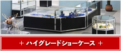 ハイグレードショーケース
