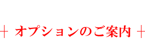 オプションのご案内